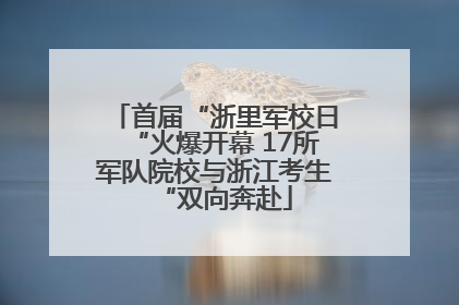 首届“浙里军校日“火爆开幕 17所军队院校与浙江考生“双向奔赴