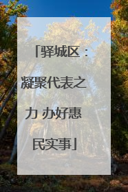 驿城区：凝聚代表之力 办好惠民实事