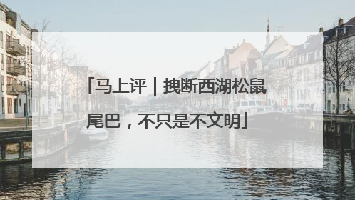 马上评｜拽断西湖松鼠尾巴，不只是不文明