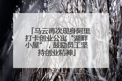 马云再次现身阿里打卡创业公寓“湖畔小屋”，鼓励员工坚持创业精神