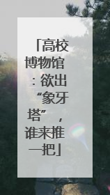 高校博物馆：欲出“象牙塔”，谁来推一把