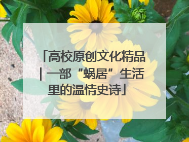 高校原创文化精品｜一部“蜗居”生活里的温情史诗