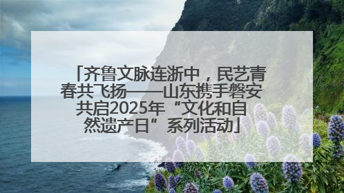 齐鲁文脉连浙中，民艺青春共飞扬——山东携手磐安共启2025年“文化和自然遗产日”系列活动