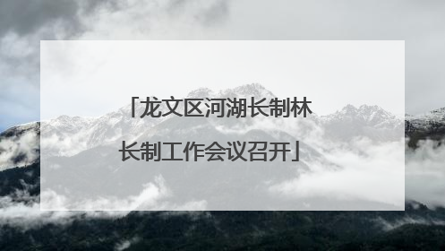 龙文区河湖长制林长制工作会议召开