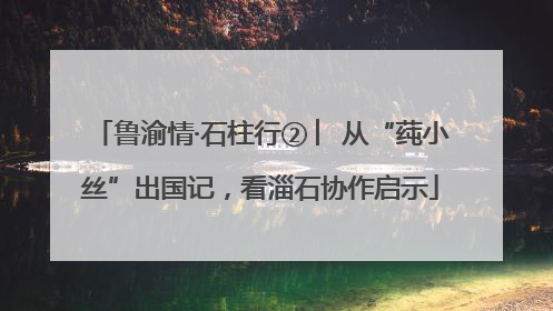 鲁渝情·石柱行② ︳从“莼小丝”出国记，看淄石协作启示