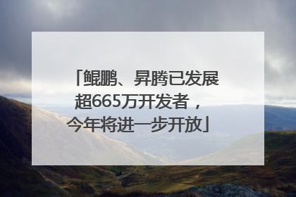 鲲鹏、昇腾已发展超665万开发者，今年将进一步开放