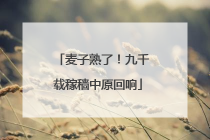 麦子熟了！九千载稼穑中原回响