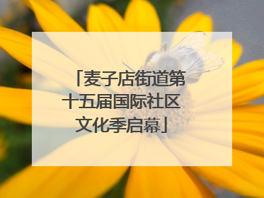 麦子店街道第十五届国际社区文化季启幕