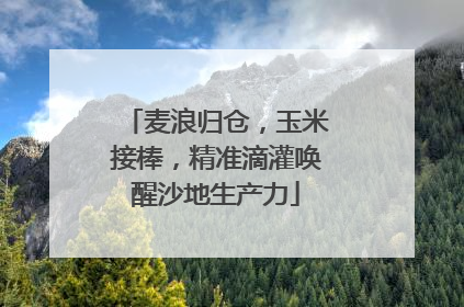 麦浪归仓，玉米接棒，精准滴灌唤醒沙地生产力