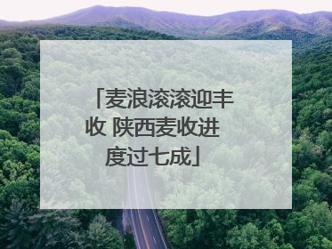 麦浪滚滚迎丰收 陕西麦收进度过七成