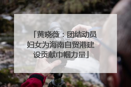 黄晓薇：团结动员妇女为海南自贸港建设贡献巾帼力量