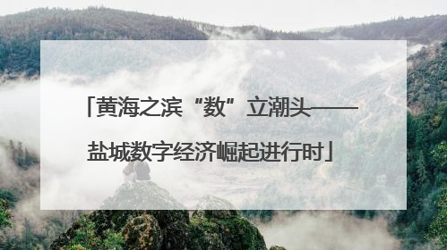 黄海之滨“数”立潮头——盐城数字经济崛起进行时