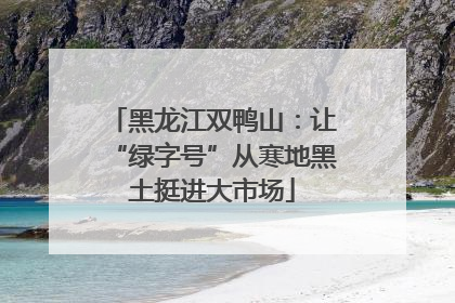 黑龙江双鸭山：让“绿字号”从寒地黑土挺进大市场