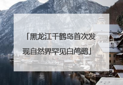 黑龙江千鹤岛首次发现自然界罕见白鸬鹚