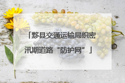 黟县交通运输局织密汛期道路“防护网”