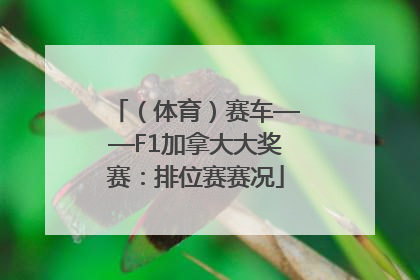 （体育）赛车——F1加拿大大奖赛：排位赛赛况