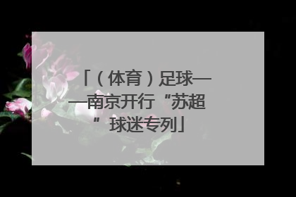 （体育）足球——南京开行“苏超”球迷专列