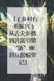 （乡村行·看振兴）从舌尖乡愁到共富引擎 “浙”碗泡豆腐蜕变记