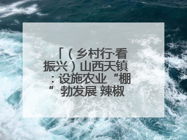 （乡村行·看振兴）山西天镇：设施农业“棚”勃发展 辣椒产业蓄势待发
