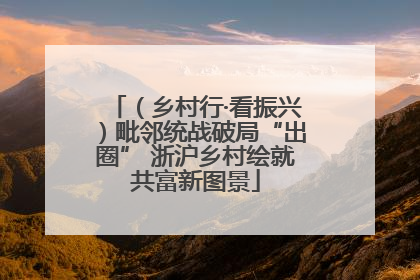 （乡村行·看振兴）毗邻统战破局“出圈” 浙沪乡村绘就共富新图景