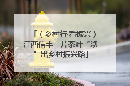 （乡村行·看振兴）江西信丰一片茶叶“沏”出乡村振兴路