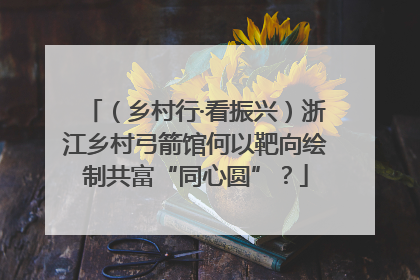 （乡村行·看振兴）浙江乡村弓箭馆何以靶向绘制共富“同心圆”？