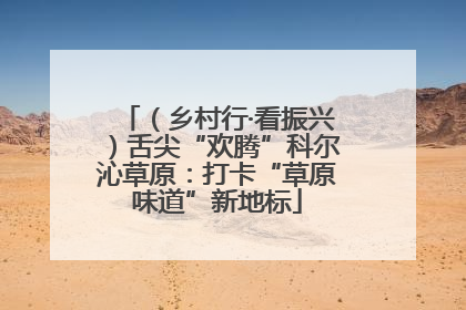（乡村行·看振兴）舌尖“欢腾”科尔沁草原：打卡“草原味道”新地标