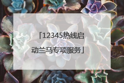 12345热线启动兰马专项服务