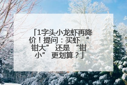 1字头小龙虾再降价！提问：买虾 “钳大” 还是 “钳小” 更划算？