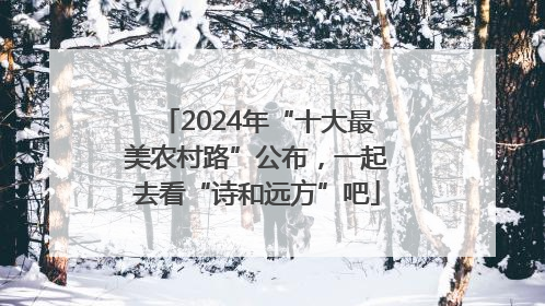 2024年“十大最美农村路”公布，一起去看“诗和远方”吧