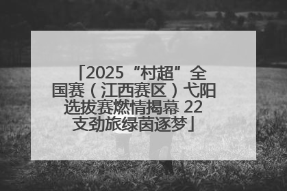 2025“村超”全国赛（江西赛区）弋阳选拔赛燃情揭幕 22支劲旅绿茵逐梦