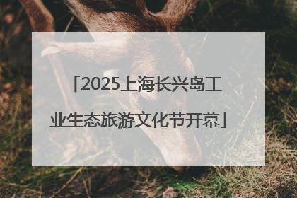 2025上海长兴岛工业生态旅游文化节开幕