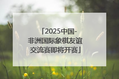2025中国-非洲国际象棋友谊交流赛即将开赛