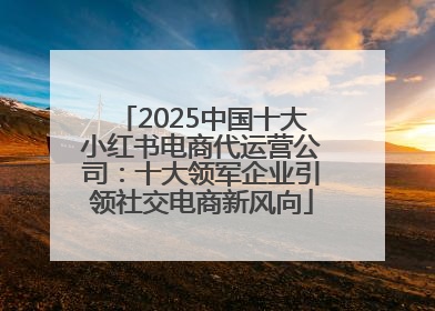 2025中国十大小红书电商代运营公司：十大领军企业引领社交电商新风向
