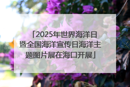 2025年世界海洋日暨全国海洋宣传日海洋主题图片展在海口开展
