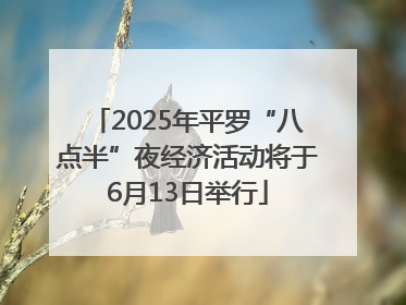 2025年平罗“八点半”夜经济活动将于6月13日举行