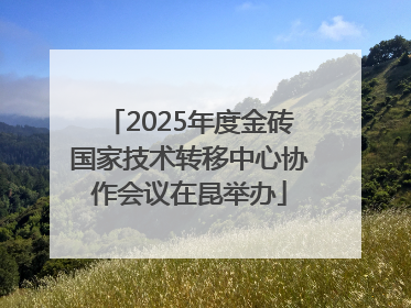 2025年度金砖国家技术转移中心协作会议在昆举办