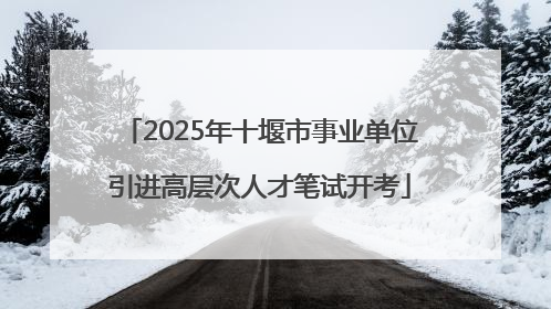 2025年十堰市事业单位引进高层次人才笔试开考