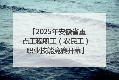 2025年安徽省重点工程职工（农民工）职业技能竞赛开幕