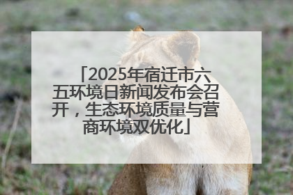 2025年宿迁市六五环境日新闻发布会召开，生态环境质量与营商环境双优化