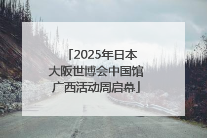 2025年日本大阪世博会中国馆广西活动周启幕
