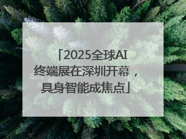 2025全球AI终端展在深圳开幕，具身智能成焦点
