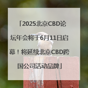 2025北京CBD论坛年会将于6月11日启幕！将延续北京CBD跨国公司活动品牌