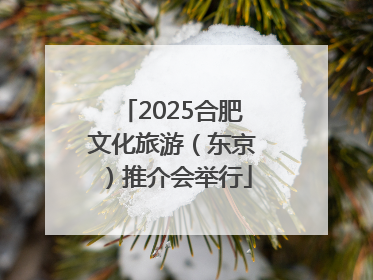 2025合肥文化旅游（东京）推介会举行