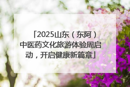 2025山东（东阿）中医药文化旅游体验周启动，开启健康新篇章