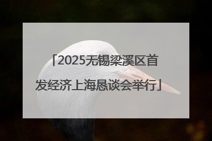 2025无锡梁溪区首发经济上海恳谈会举行
