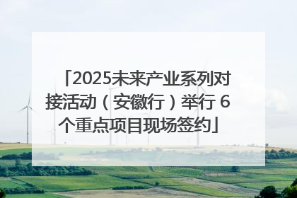 2025未来产业系列对接活动（安徽行）举行 6个重点项目现场签约