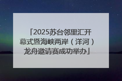 2025苏台邻里汇开幕式暨海峡两岸（洋河）龙舟邀请赛成功举办