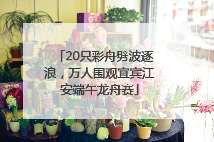 20只彩舟劈波逐浪，万人围观宜宾江安端午龙舟赛