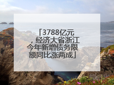 3788亿元，经济大省浙江今年新增债务限额同比涨两成